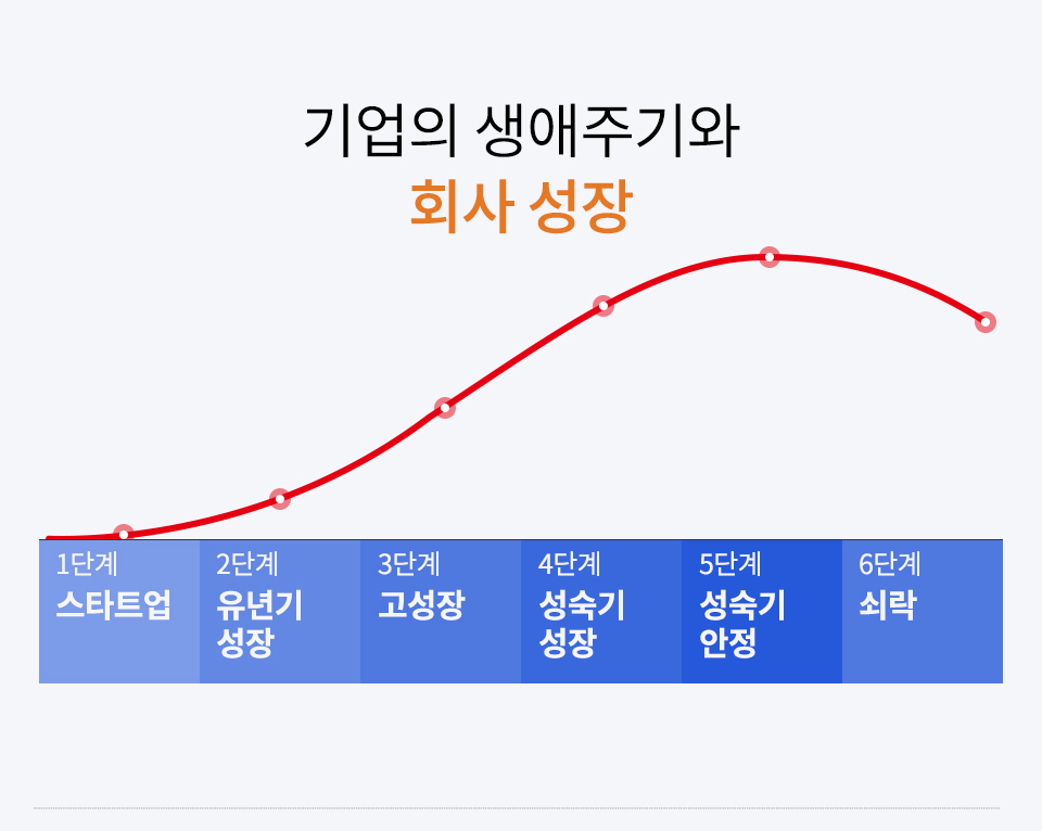 기업의 생애주기와 회사 성장